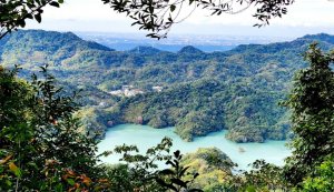 角板山大嵙崁戰役，山上的楓葉染紅了大地，桃園枕頭山，枕頭山西峰，枕頭山砲台古道