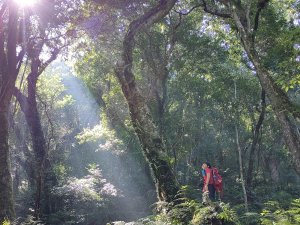 2022-022B：煤源上李崠山下八五山O型