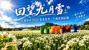 《回望九月雪｜大溪中庄2026韭菜花季・午後花海紀錄》