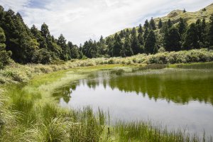 七星山系 夢幻湖步道