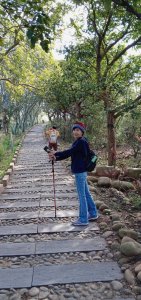 登高望遠，視野廣闊∥台中龍井．竹坑南寮登山步道