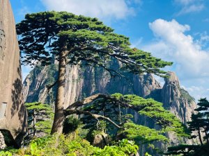 1140915-17安徽省黃山