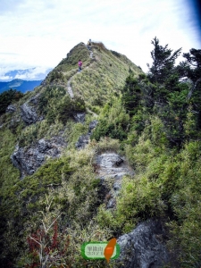 畢祿山 辣一下 Ⅰ 