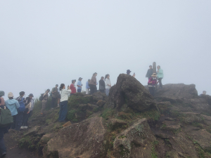 小油坑＞七星池＞七星山＞苗圃