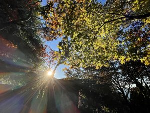 太平山之旅