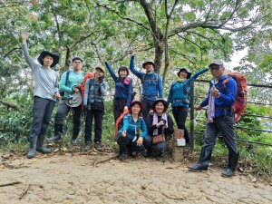 雲林龍過脈步道大O型-林內山與南觸口山，連走九芎村落羽松秘境