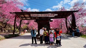 🌈2/19（四）-20（五）司馬庫斯櫻花季2日✨FB：熊熊趴爬走 🌈