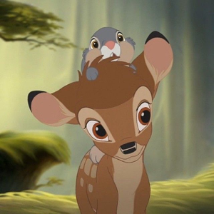 斑比塔塔的頭像