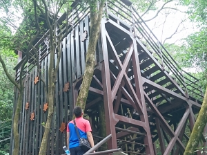 【新聞】臺北首座樹屋涼亭 走過，路過，千萬別錯過！