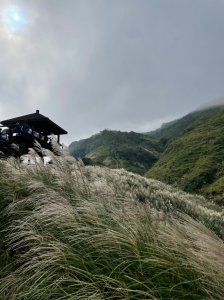 [搭火車去爬山]秋冬芒草季必訪步道。桃源谷步道(大溪線+草嶺線) -下大里天公廟