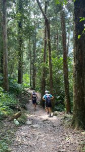 《探訪熊空秘境 2｜新北三峽雲心 × 森山瀑布 一柔一剛的雙瀑饗宴》