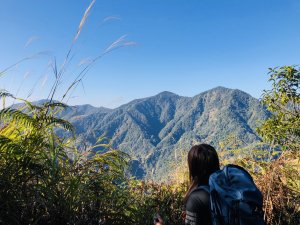 防疫最佳選擇-健腳鐵腿行 《唐麻丹山O型走》