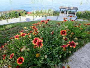 澎湖, 南環一日遊, 撿蛇頭山小百岳
