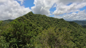 柑腳城山、外柑腳山O走