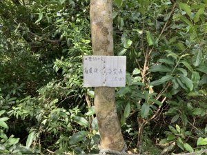 觀音山、尖山(占山)登山步道