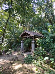 (竹苗郊山)獅頭山+百段崎古道(試走)