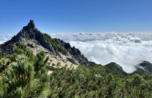 ［日本百名山］漫步在雪白天際⋯ 鳯凰三山（下）