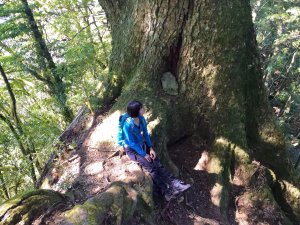 【新竹五峰鄉】清泉石鹿步道口、霞喀羅大山