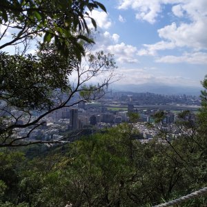 金面山親山步道