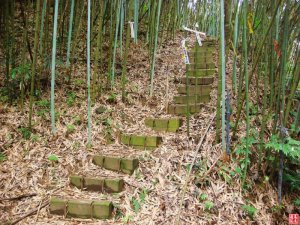 馬都安古道