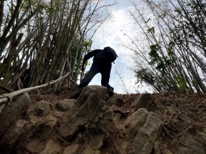 高雄旗尾山步道：鯨魚背鰭般的小百岳 