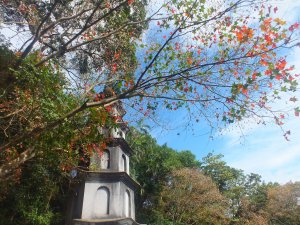 三秀山拱北殿楓葉、北港山O型走
