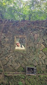 雪山尾稜全段（福隆-大里）