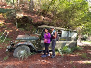 來去郡大坐龍貓公車順登對關山