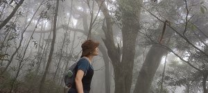 鳥嘴山步道-2023/05/27