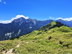 撤退與重返｜我與奇萊主山的距離
