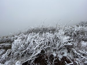 20200208合歡主峰