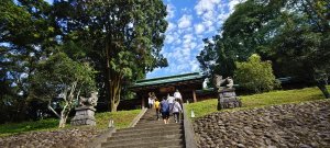 桃園虎頭山步道O型-2025/11/30