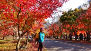 【韓國】內藏山國立公園賞楓