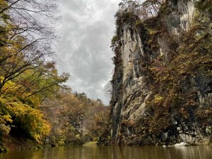 日本岩手縣猊鼻渓、釣山公園及宮城縣磊々峡步道紅葉健行之旅