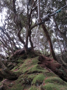 1060211高台山、島田山-小、中、大