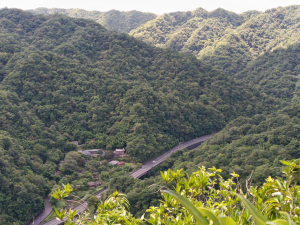 平溪區南山坪蝙蝠洞(濕洞)+平湖山+平湖尖+蝙蝠洞(乾洞)O型