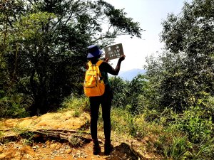 走進獅尾的褶皺｜猿山步道，一場與山靈的私密對話