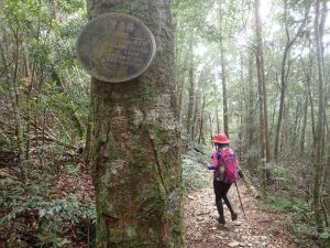 剛開封的國家級浸水營古道-出水坡山搶先報到