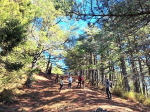 百岳觀景台:平多縱走