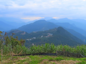 武界越山 O縱 橫屏山