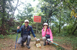 2025-04-06 三義挑炭古道連走慈濟茶園─桐花走廊→挑炭古道→三通嶺→慈濟茶園→慈濟山→三義山→建中國小→廣盛老街