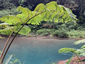 蝸牛登山隊—逆走桶后林道（小礁溪至烏來）