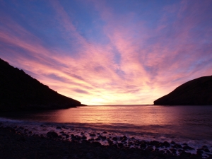 【紐西蘭】海灣健行之私人秘境(下) The Banks Peninsula Track