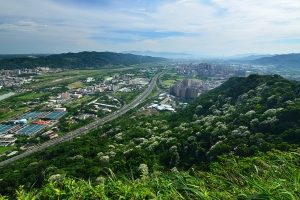 【路線】油桐花步道