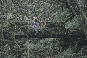 絕美的河岸步道｜淡蘭之烏山越嶺古道 （淡蘭古道中路）