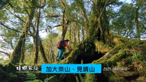 【2025 蟑螂家族：加大奈山、見晴山】-知本林道進、遊樂區出