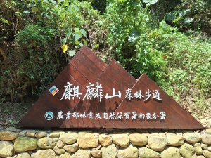 田中麒麟山森林步道20250817