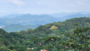 飛鳳山大板根，中坑山，石壁潭山，觀日坪古道