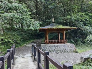 [百山百鳥尋旅-12/15] 2025_0928 特富野古道