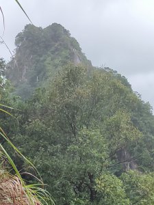 微笑山線：【五分山系】菁桐煤礦段、平溪小黃山段、望古瀑布段